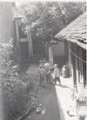 Idilka na jednom z dvorků na Božetěchově ulici, začátek 50. let