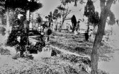 Hřbitov v Kotlůvku